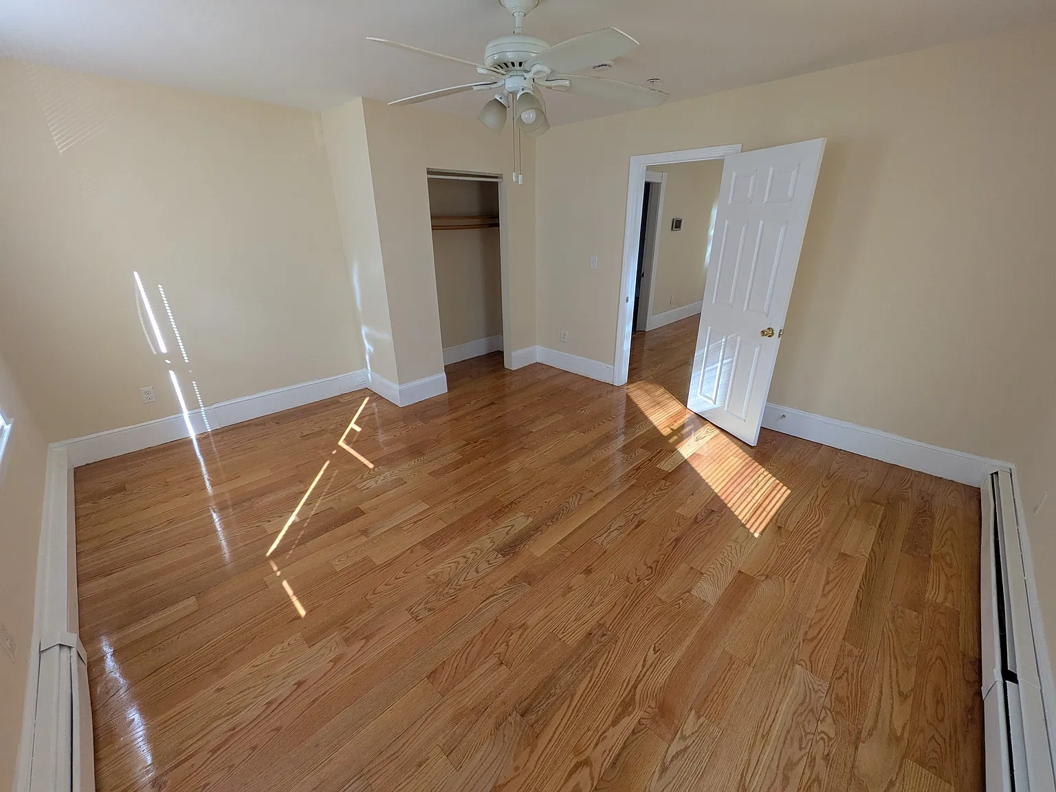 7 Albert Street — Photo 4