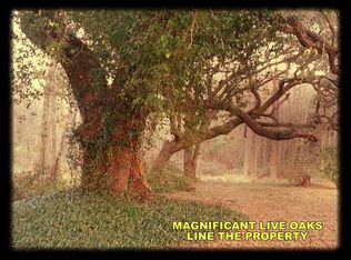 6517 Bears Bluff Rd, Wadmalaw Island, SC 29487