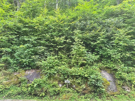 2nd image of 132 Broadview Drive