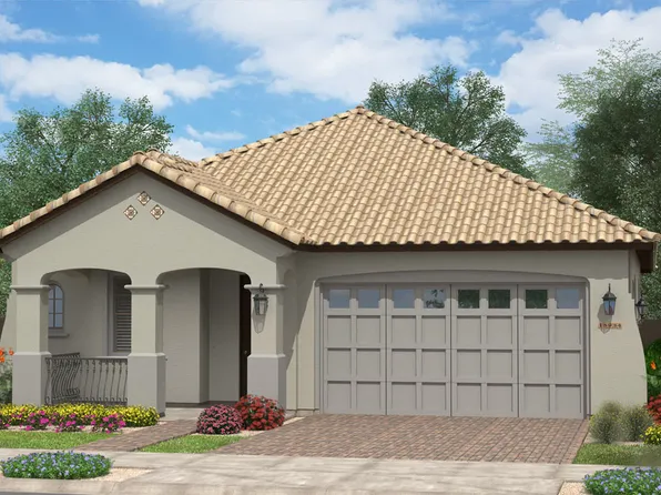 Mango Plan, Orchard at Barney Farms