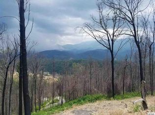 864 N Skyline Dr, Gatlinburg, TN 37738