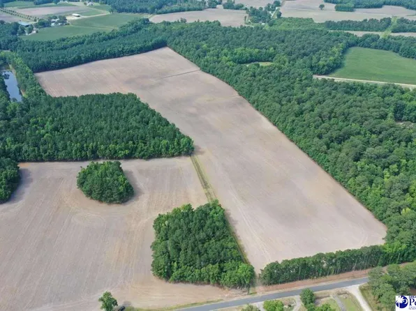 1002 Sam Lee Rd, Scranton, SC 29591