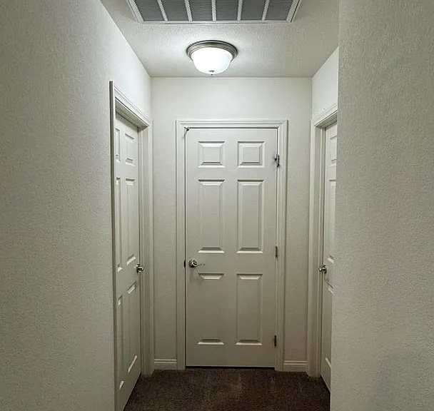 9896 Panther Hollow St — Photo 20