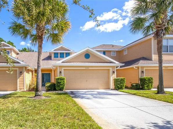 20405 Harvest Oak Ct, Tampa, FL 33647