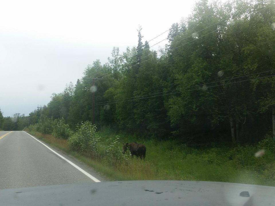 1st image of 9 & 62 Glenn Hwy #L