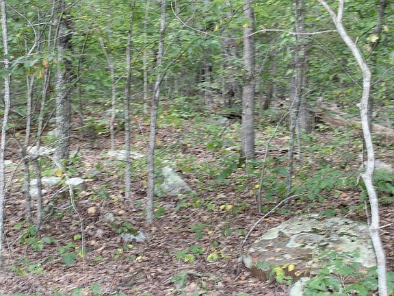 5th image of 1202 Liberty Rd