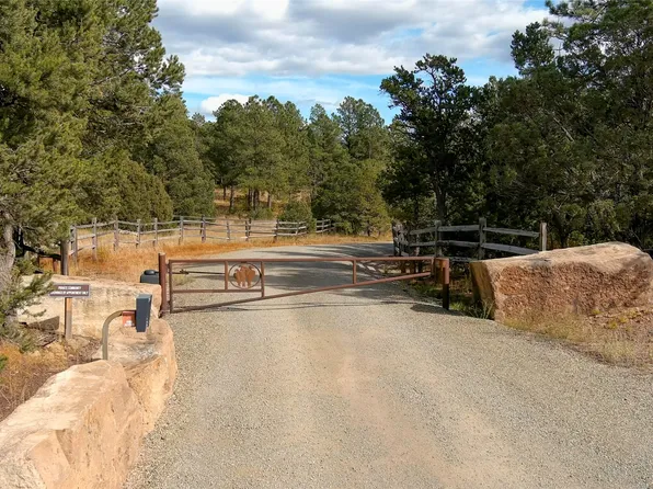 26 Birds Of A Feather, Pecos, NM 87552