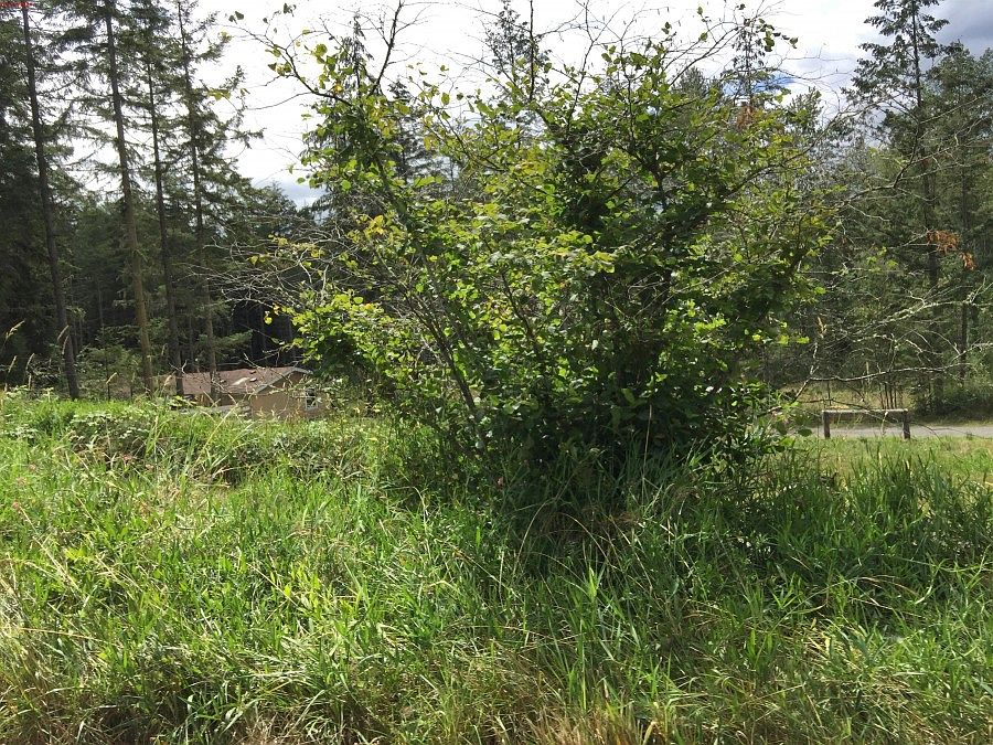 1st image of 40118 66th Ave E