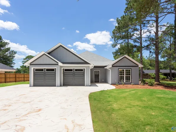 2654 Desoto St, Hokes Bluff, AL 35903