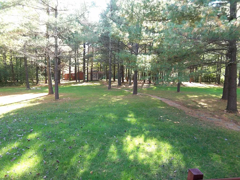 Part of rear yard.