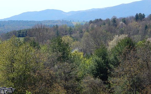 4th image of 109 Bona Vista Ln
