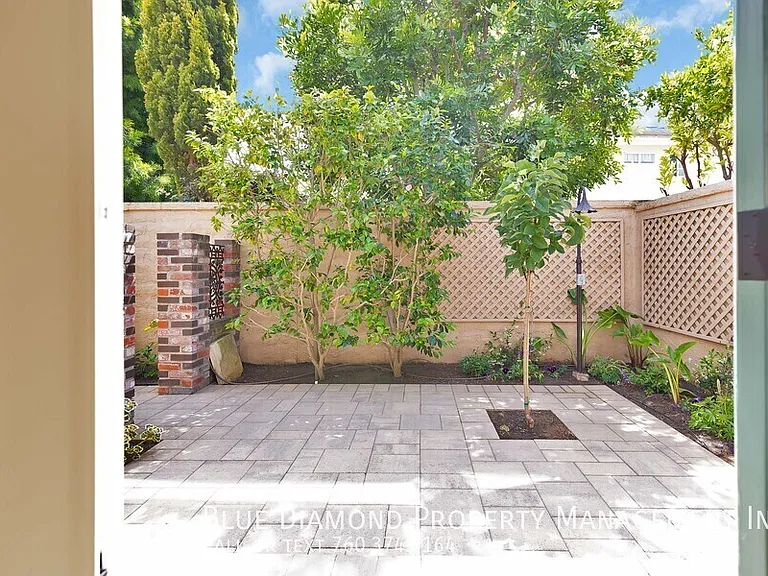 3650 Paseo Vista Famosa — Photo 13