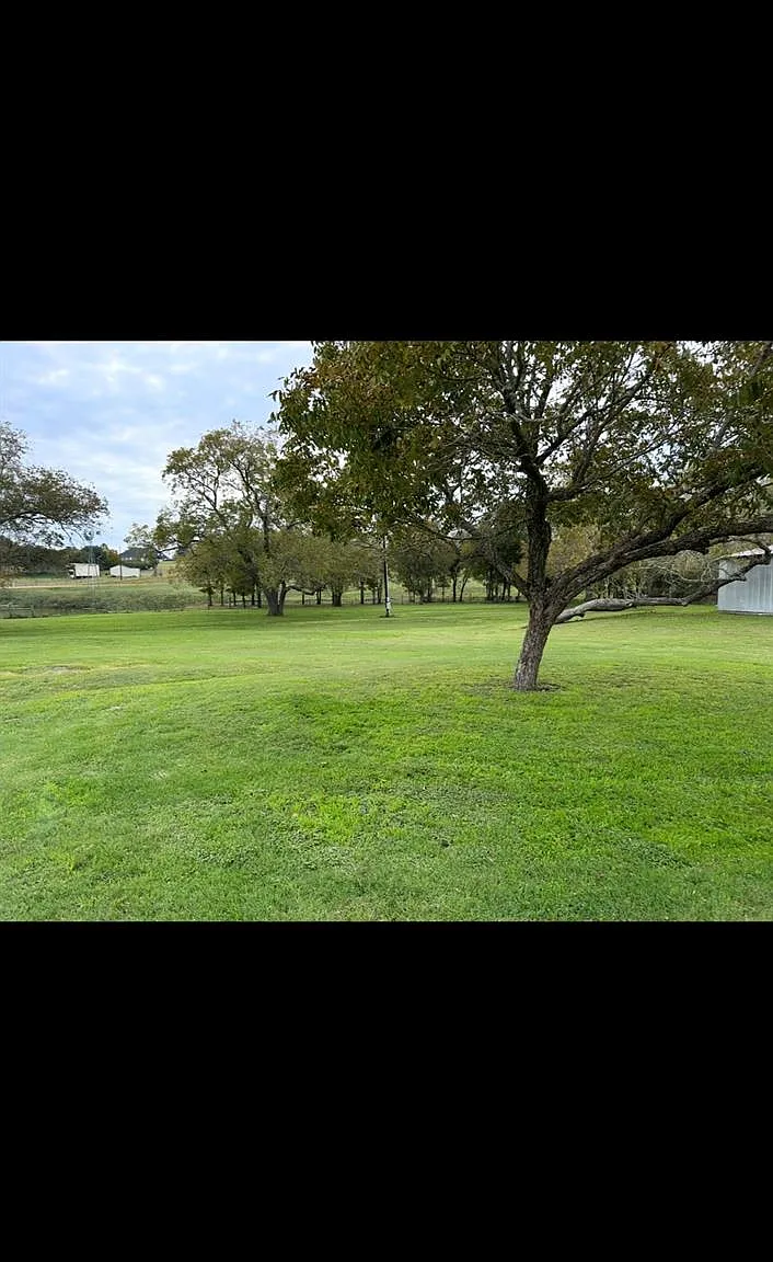 1 bed, 1.0 bath, 730 sqft, $1,900 — Photo 4