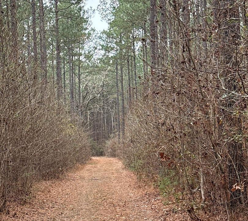 1st image of 0 Highway 818