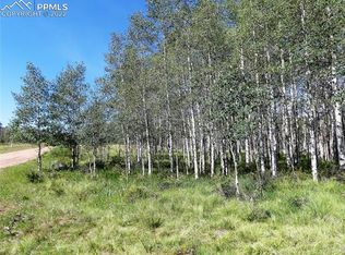 455 Aspen Way Dr, Florissant, CO 80816