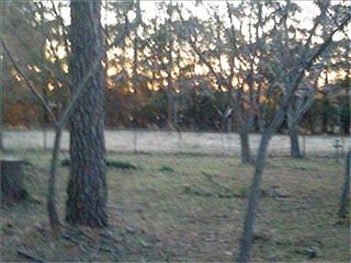4th image of 1998 Carroll Dr