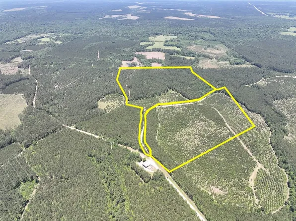 Union Springs Rd, Corrigan, TX 75939