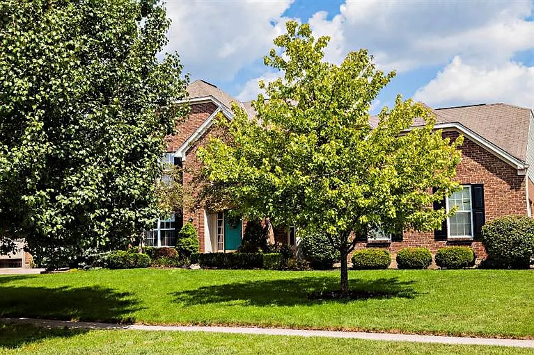8626 Charleston Knoll Ct — Photo 16