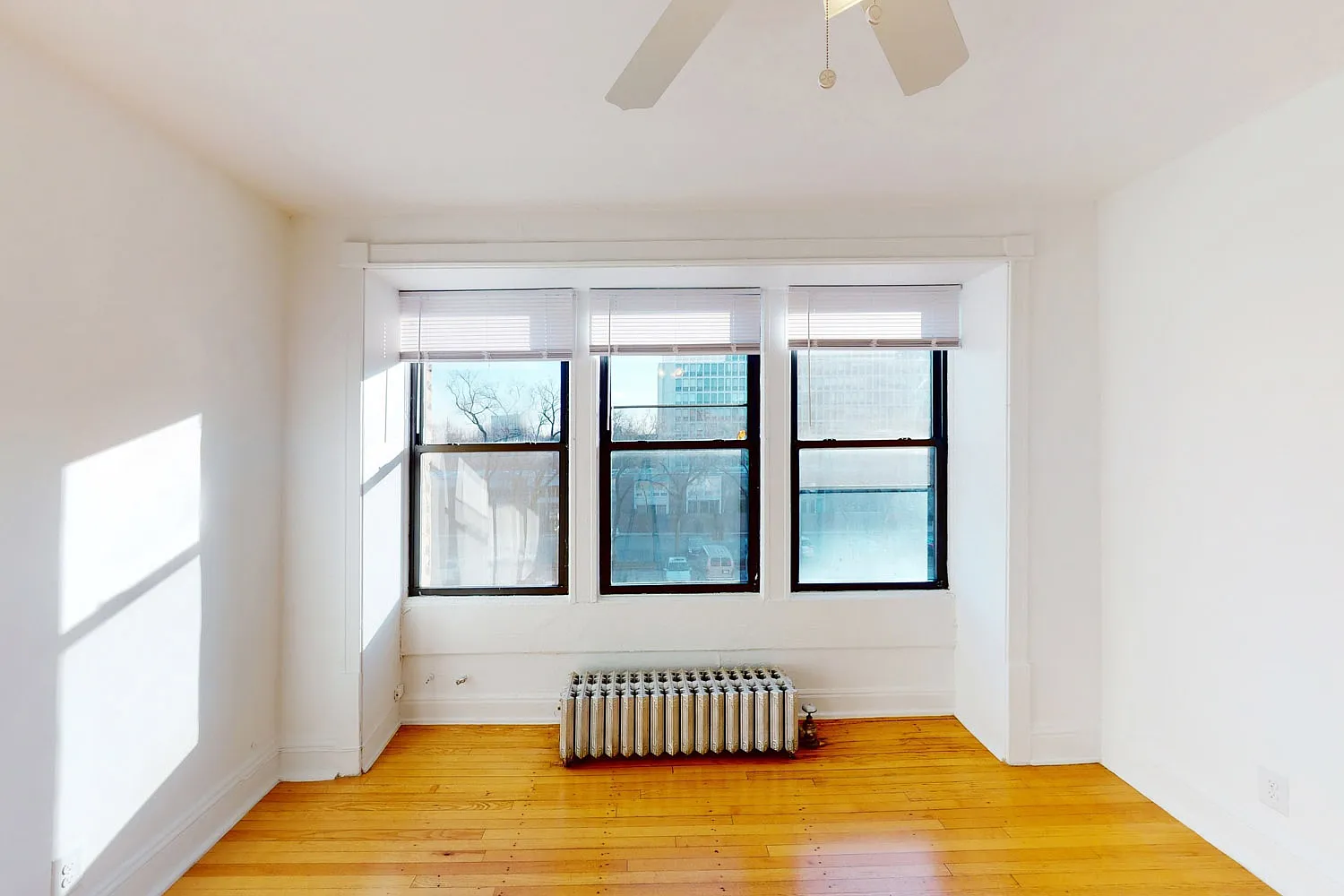 5457-5459 S. Blackstone Avenue — Photo 4