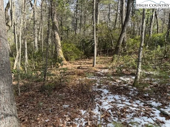 TBD Lot 18 Walden Lane, West Jefferson, NC 28694