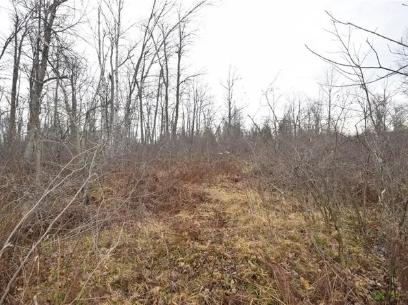 0 Cummings Road, Danbury, WI 54830