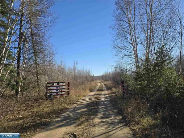 County Road 119, International Falls, MN 56649