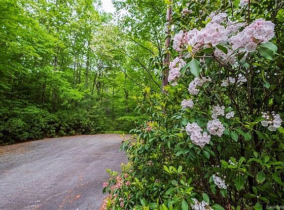 3rd image of 57 Summer Hill Dr