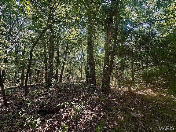 3rd image of 0 Estates Ln