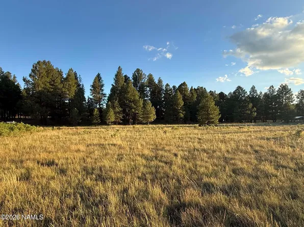 184 High Point Dr, Mormon Lake, AZ 86038