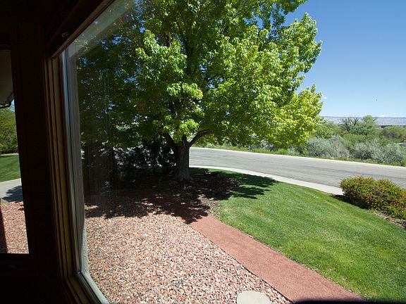 Another view out Bay Window 