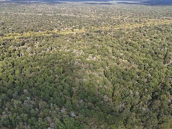 5th image of Gourd Bayou Rd Lot Wp001