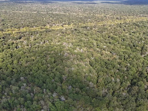 Gourd Bayou Rd Lot Wp001, Monroe, LA 71202