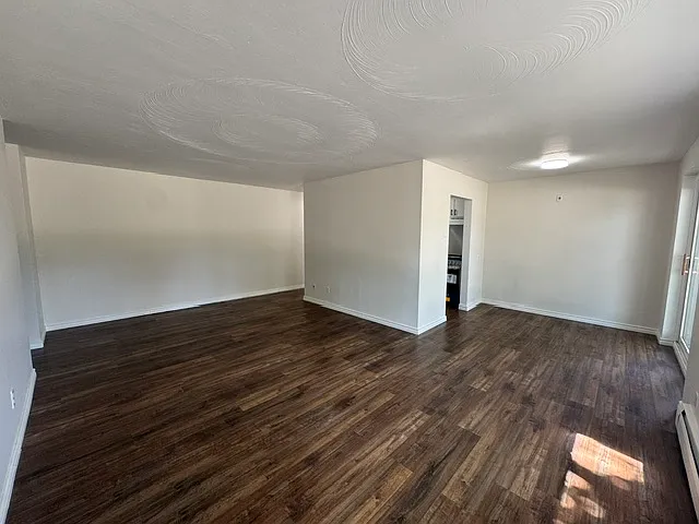 236 Louisa St #1B — Photo 9