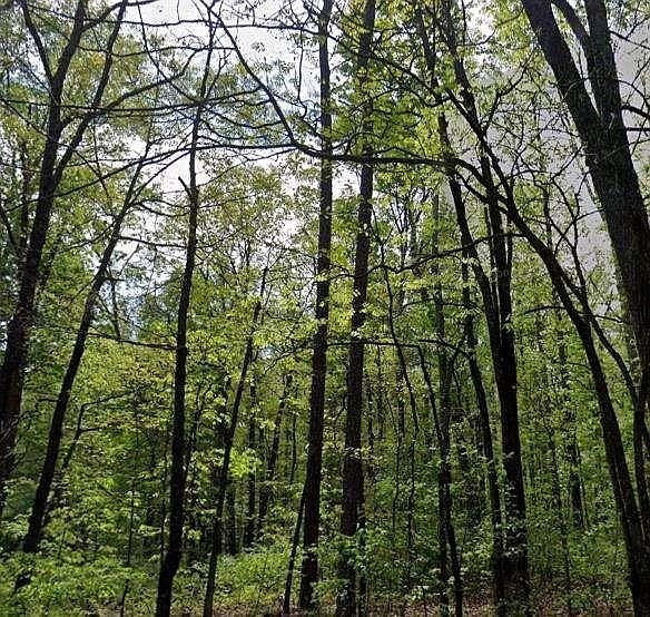 1st image of 0 Carson Wages Rd