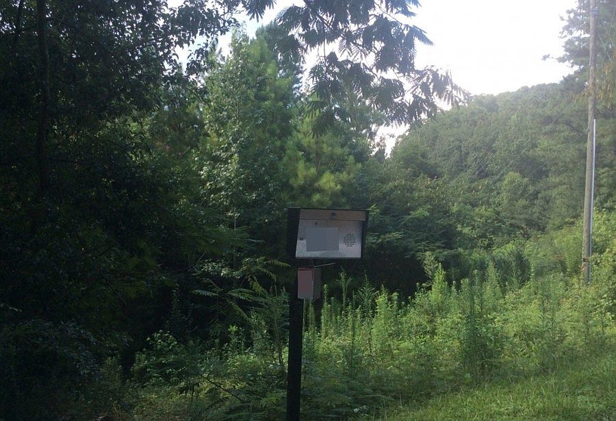 2nd image of 7124 Crown Ln