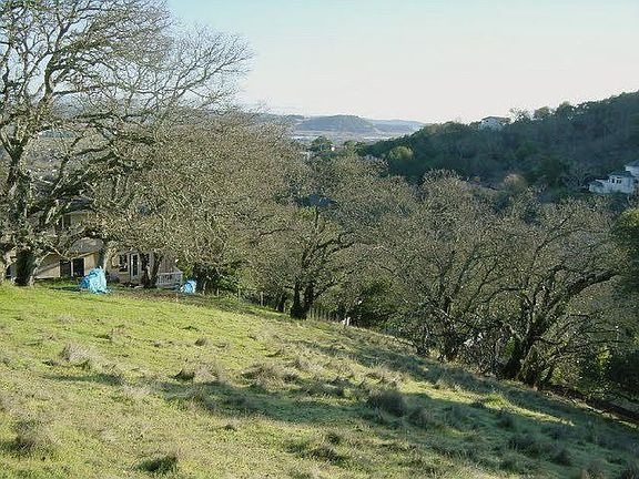 Back Yard Hill