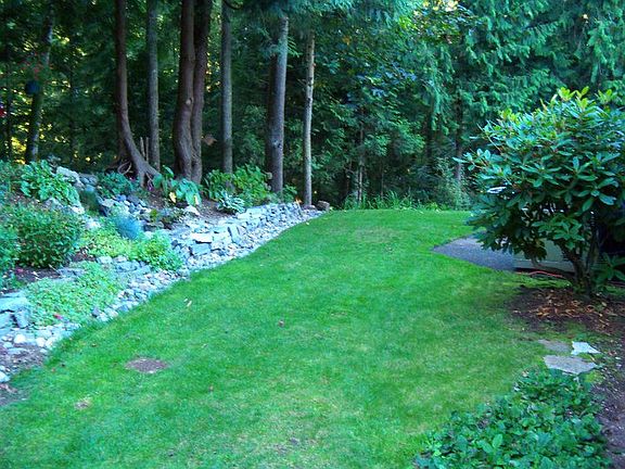 back yard