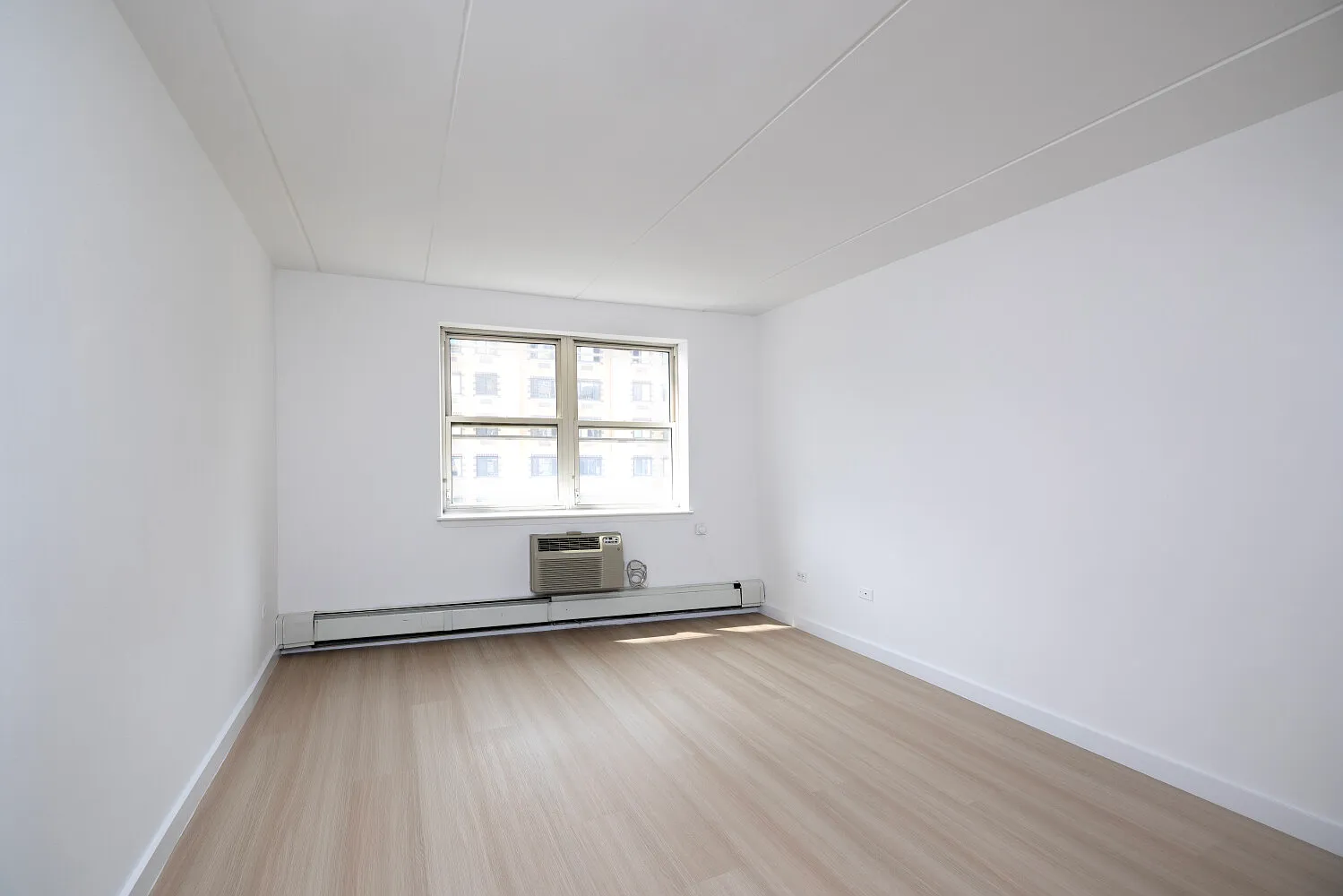 301 Elizabeth Street — Photo 4
