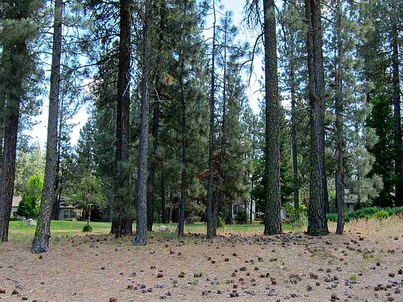 4th image of 33 Poplar Ct
