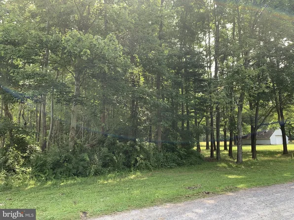 56 Hastings Rd, Selbyville, DE 19975