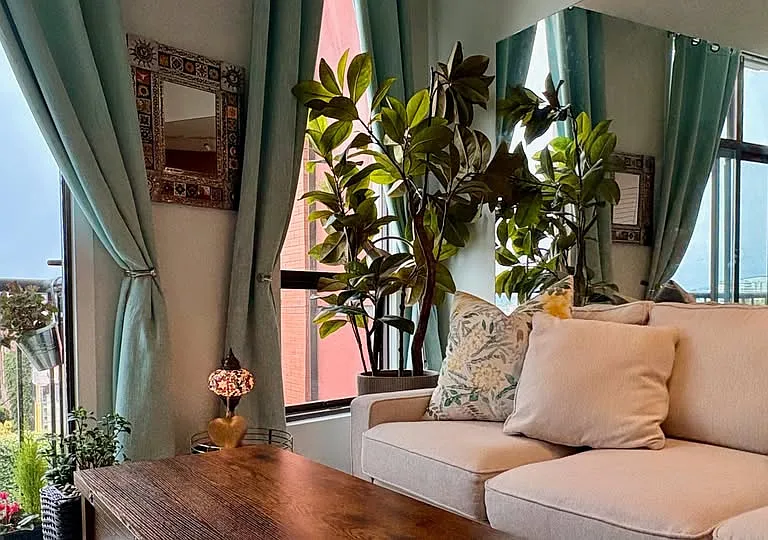 409 Swift St #423 — Photo 5