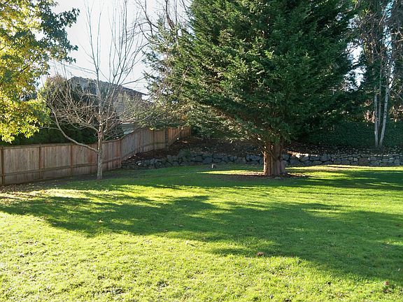 Large backyard