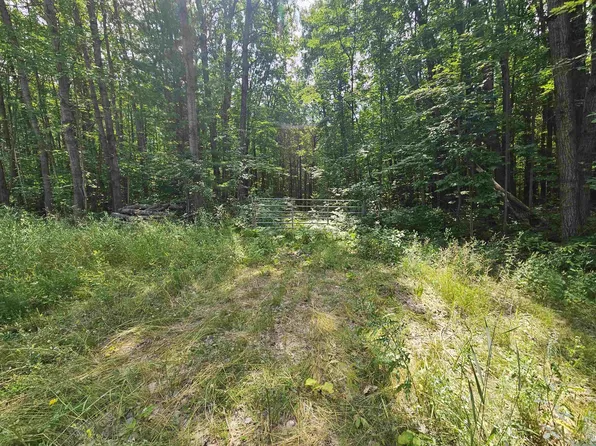 Nhn E Clarence Rd, Harrison, MI 48625