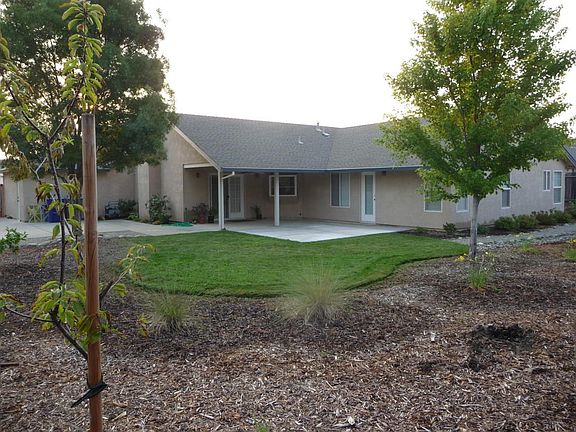 Easy care Landscaping