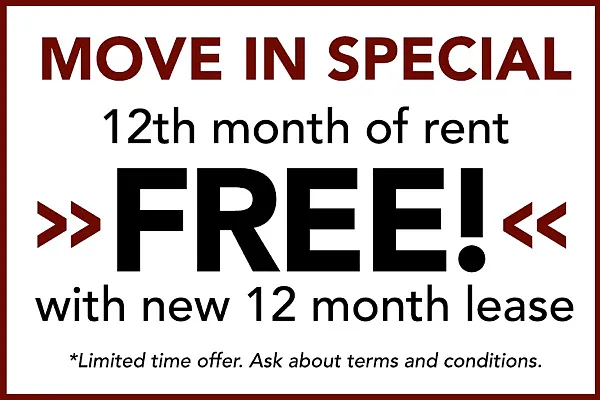 Special Promotion