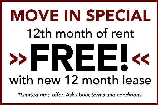 Special Promotion