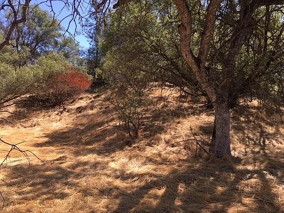 3rd image of Yosemite Springs Parkway