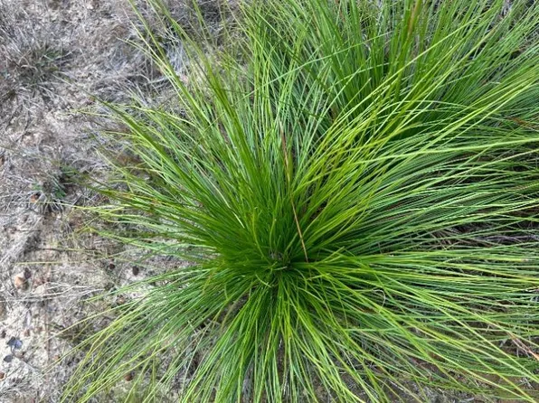 0 Us Highway 29, Brewton, AL 36426