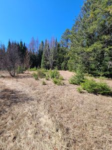 3121 Highway 21, Babbitt, MN, 55706