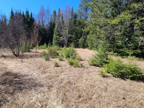 3121 Highway 21, Babbitt, MN 55706